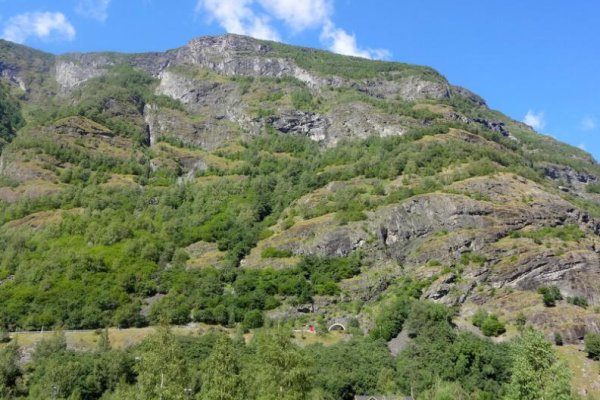 Кракен ссылки онлайн
