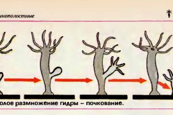 2krn cc что это