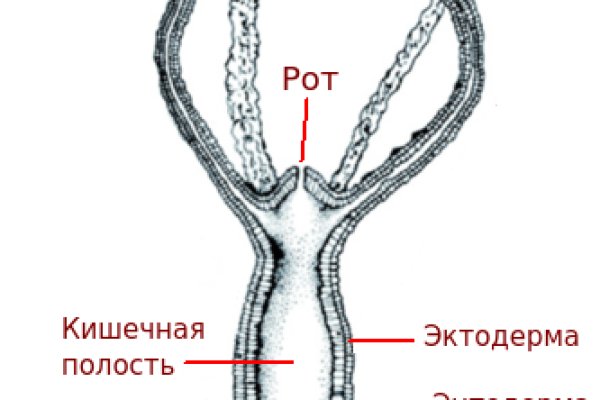 Кракен 18ат