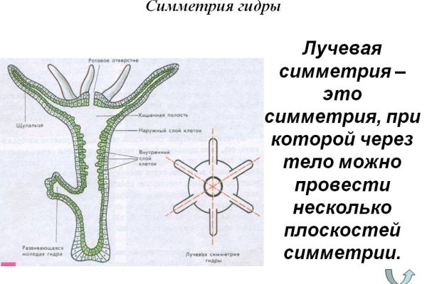 Кракен сайт официальный onion