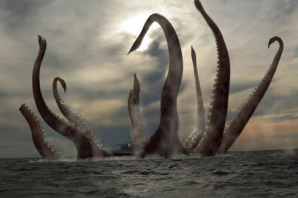 Kraken найдется все